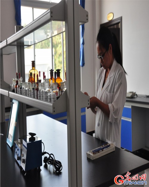 探秘一顆神奇的植物—云三七