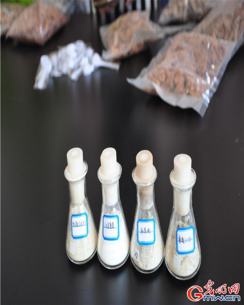 探秘一顆神奇的植物—云三七